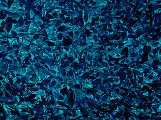 Image Mystic Blue Foliage Abstract