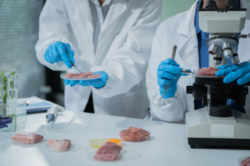 Two Asian female scientists analyze plant and meat samples in a modern laboratory, using microscopes and documenting results to improve food quality, safety, biotechnology,agricultural innovation
