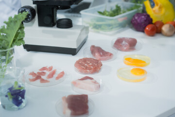 Two Asian female scientists analyze plant and meat samples in a modern laboratory, using microscopes and documenting results to improve food quality, safety, biotechnology,agricultural innovation