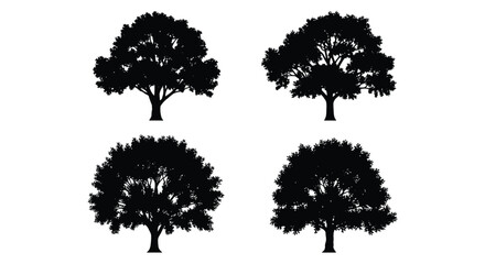 Four detailed broadleaf tree silhouettes vector set. graphic elements representing nature and environment ecology. isolated on white background, Vector, illustration