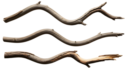 Three weathered wooden branches with natural curves against a white background, showcasing organic texture and form
