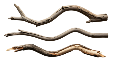 Natural wooden branches with a weathered, aged texture, showcasing organic curves and split textures