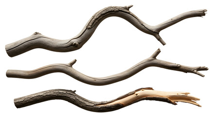 A collection of three weathered, broken, and gnarled tree branches isolated on a white background