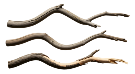 Three curved dried branches against a white background, perfect for nature and rustic design elements