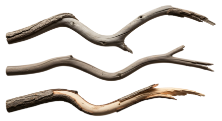 Three natural wooden branches with textured bark, isolated on a white background