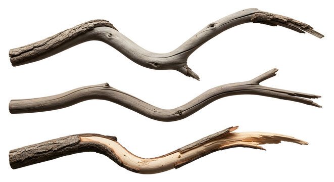 Three natural wooden branches with textured bark, isolated on a white background - Powered by Adobe