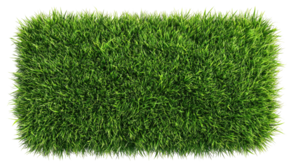 Rectangular patch of vibrant green grass against a black background, realistic and detailed