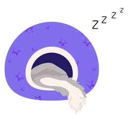 Cat sleeps in soft house, its fluffy tail hanging out. Vector isolated illustration of fabric dog house with stars and gray cat inside. Colored flat illustration of pet relaxing in cozy bed.