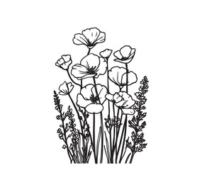 Wildflower garden design vector, white background, simple line art