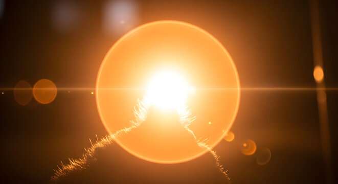 Bright orange sunburst lens flare silhouette