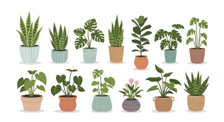 A vibrant collection of diverse potted houseplants, showcasing various indoor greenery perfect for home decoration, office spaces, and healthy living environments in a flat vector illustration style