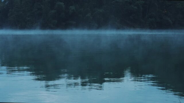 Lake and the forest in the fog