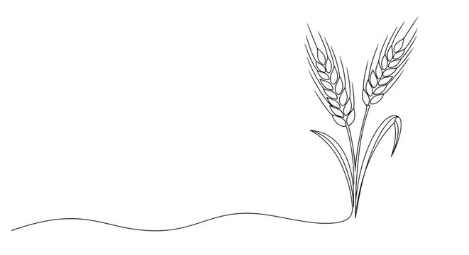 Minimalist line art illustration of two wheat stalks with wavy ground line on white background