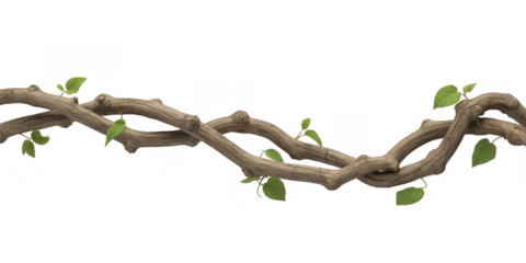 Intertwined rough brown tree branches with small green leaves isolated on a transparent background
