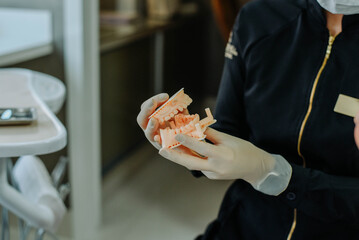 Obraz premium Close-up of dentist holding a dental model while explaining a procedure.