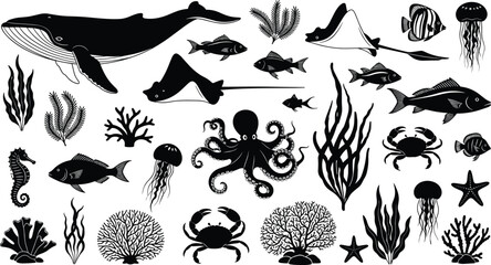 Marine life silhouette vector set, ocean animal icons, underwater sea creature graphics, black and white aquatic design, nature illustration pack