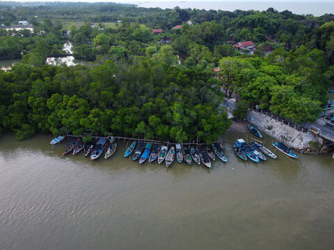 Geladhak Lanjhang estuary with calm tidal water meeting the sea, warm light over mangroves, gentle ripples and a peaceful coastal landscape suitable for natural visuals
