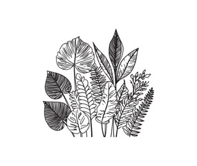 a collection of simple line art of tropical leaves and plants, arranged in an artistic composition with space for coloring on a white background.