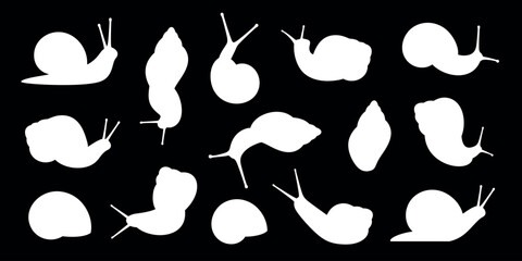 Grape snail silhouette. Isolated grape snail on white background