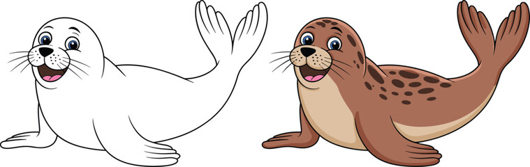 Cartoon seal illustration, outline and color, playful animal, marine life, kids activity, coloring page, vector drawing, cute