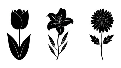 Elegant Flower Silhouette Set: Hand Drawn Lily, Tulip, and Daisy Botanical Black Collection