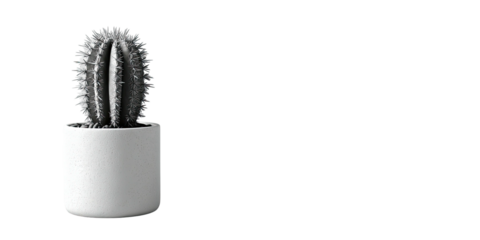 A grayscale image features a potted cactus against a stark black background