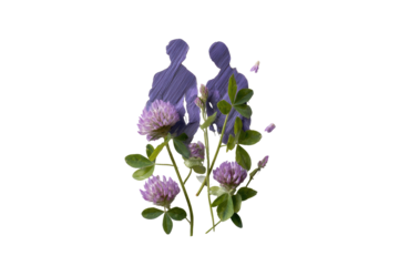 Silhouette figures embraced by natural florals. Artistic, serene, purple and green elements against black