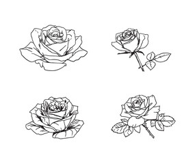 Simple line drawing of a rose, vector style, simple lines, white background, clipart, simple, vector, basic lines, simple coloring book, simple coloring page, minimalist design, no shadows, cartoon ve