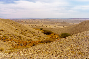Arava Desert landscape