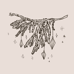 Hand drawn sketch elegant delicate spruce winter Christmas branch with ornaments