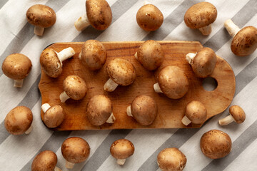 Raw Royal Brown Champignons Ready to Cook