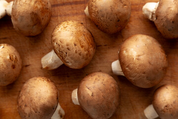 Raw Royal Brown Champignons Ready to Cook