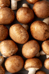 Raw Royal Brown Champignons Ready to Cook