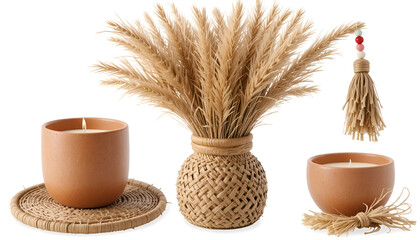 Modern Home Decor with Dried Pampas Grass in Woven Wicker Vase