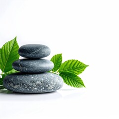 Stacked dark gray stones, green leaves on white background