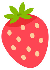 Simple strawberry fruit illustration