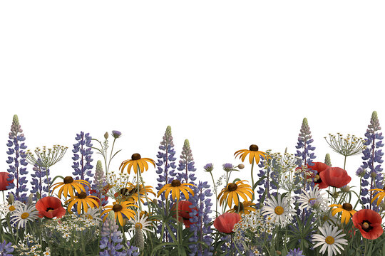 Assorted Wildflowers With Red Poppies Border White Background - Powered by Adobe