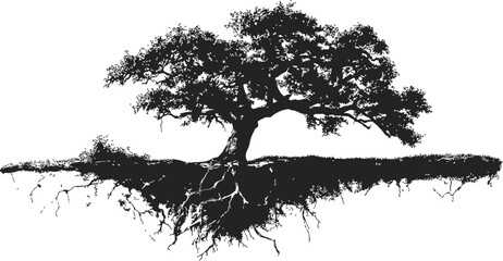 Tree silhouette sketch hand drawn with exposed roots and detailed foliage. Vector illustration