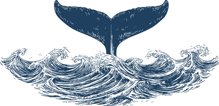 Whale tail sketch hand drawn above ocean waves, detailed marine scene. Vector illustration