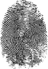 Fingerprint sketch hand drawn black ink spiral pattern biometric identification. Vector illustration