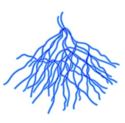 Abstract blue network of branching fibers isolated on transparent background