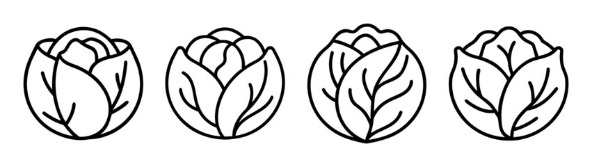 Vector illustration of napa cabbage chinese cabbage outline drawing healthy food ingredient clip art