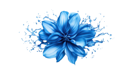 Blue Floral Splash on Transparent Background