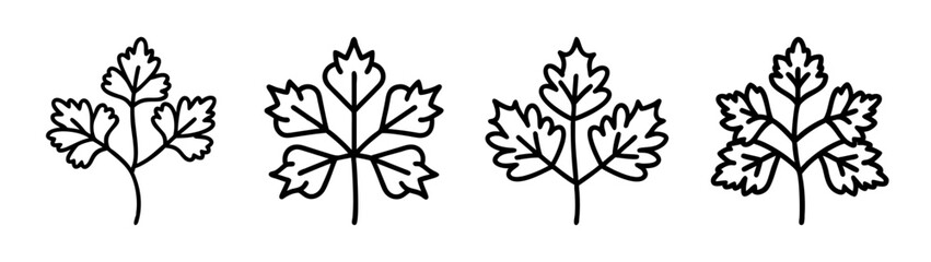 Obraz premium Vector leaves botanical illustration foliage design element nature plant drawing herbs design set