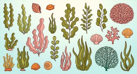 Illustrative vector collection featuring seaweeds, corals and seashells on light blue background