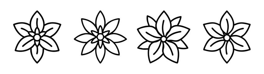 Floral ornament vector design, botanical decorative element, flower line art illustration, plant motif, nature