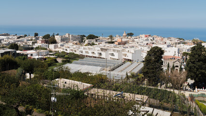 Capri, Italy - 04.29.2025: Scenic view over the town's whitewashed rooftops to the sea and horizon in the background; gardens in the foreground.