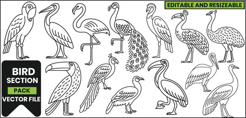Naklejka premium Exotic Birds Line Art Pack with Tropical Animals .