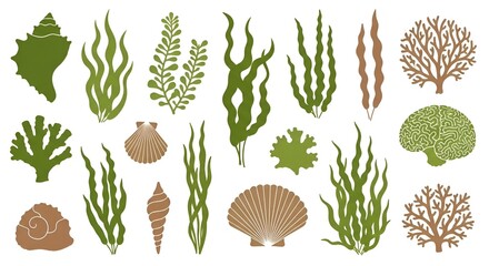 Diverse underwater flora and fauna illustration featuring seaweed, shells, and coral