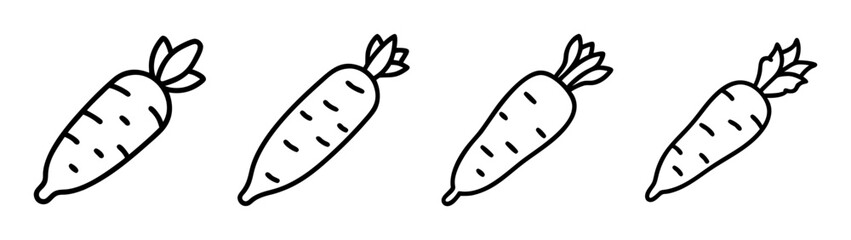 Hand drawn carrots vector illustration, fresh organic vegetable, healthy food, carrot drawing line art